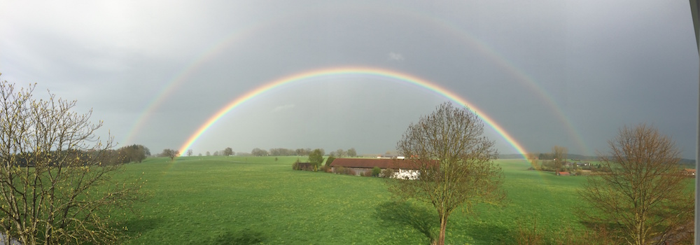 finningregenbogen